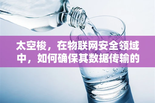 太空梭，在物联网安全领域中，如何确保其数据传输的零失误？