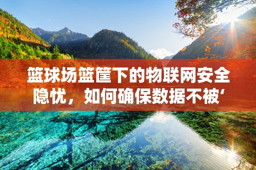 篮球场篮筐下的物联网安全隐忧，如何确保数据不被‘盗走’？