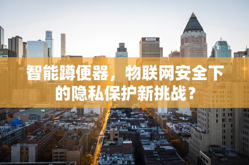 智能蹲便器，物联网安全下的隐私保护新挑战？