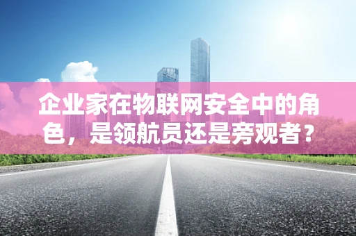 企业家在物联网安全中的角色，是领航员还是旁观者？