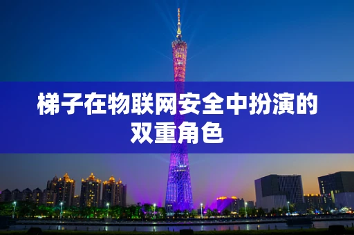 梯子在物联网安全中扮演的双重角色