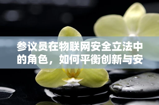 参议员在物联网安全立法中的角色，如何平衡创新与安全？