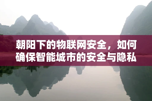 朝阳下的物联网安全，如何确保智能城市的安全与隐私？