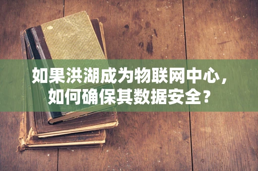 如果洪湖成为物联网中心，如何确保其数据安全？