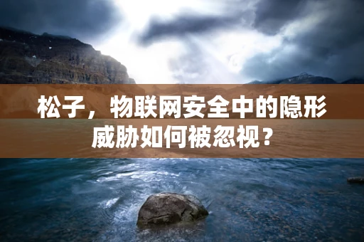 松子，物联网安全中的隐形威胁如何被忽视？