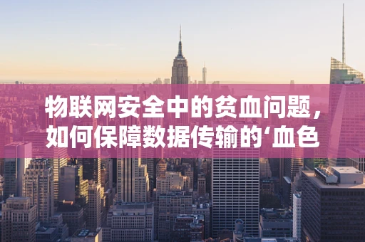 物联网安全中的贫血问题，如何保障数据传输的‘血色’？
