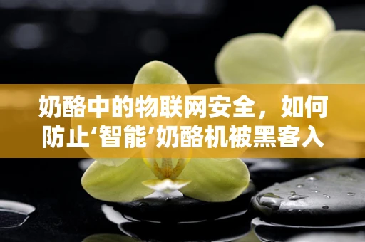 奶酪中的物联网安全，如何防止‘智能’奶酪机被黑客入侵？