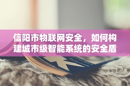 信阳市物联网安全，如何构建城市级智能系统的安全盾牌？