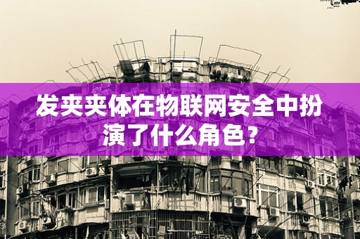 发夹夹体在物联网安全中扮演了什么角色？