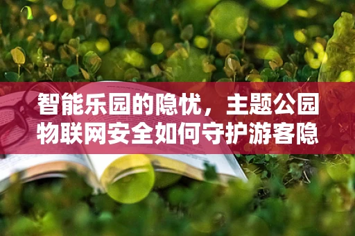 智能乐园的隐忧，主题公园物联网安全如何守护游客隐私？