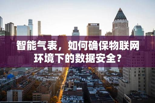 智能气表，如何确保物联网环境下的数据安全？