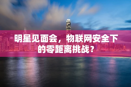 明星见面会，物联网安全下的零距离挑战？