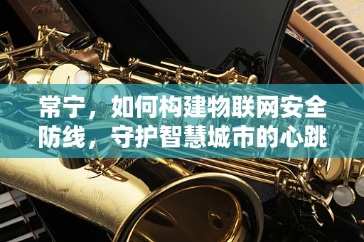 常宁，如何构建物联网安全防线，守护智慧城市的心跳？