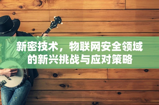 新密技术，物联网安全领域的新兴挑战与应对策略